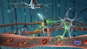 A interação do grafeno com a barreira hematoencefálica como estratégia de tratamento para Alzheimer e Parkinson