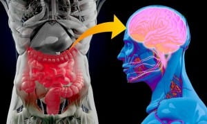 Mais evidências de que Parkinson pode começar no intestino