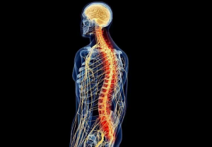 Eletrodo Medular – Cirurgia Para Dor Neuropática