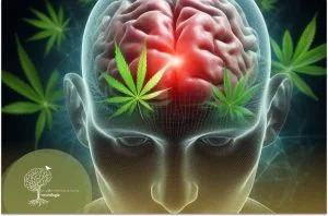 Cannabis e Cérebro