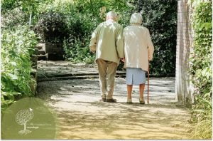 Bradicinesia no Parkinson – Por que o Parkinson Causa Lentidão?