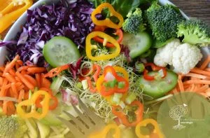 Poder da Alimentação para a Saúde Mental