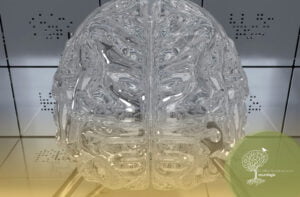 O Que é Estimulação Magnética Transcraniana (EMT)?