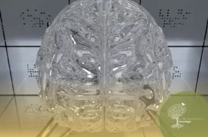 O Que é Estimulação Magnética Transcraniana (EMT)?